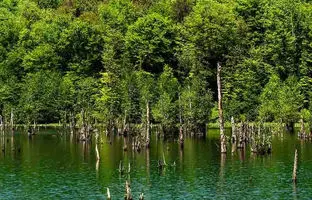  دریاچه ارواح نوشهر؛ سفری به دنیای ترس و سکوت 