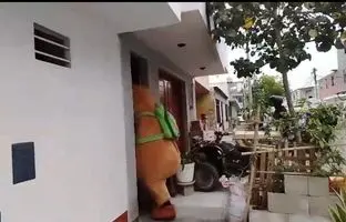 عملیات ویژه پلیس «پرو» با لباس «گرینچ» برای دستگیری باند مواد مخدر + ویدئو