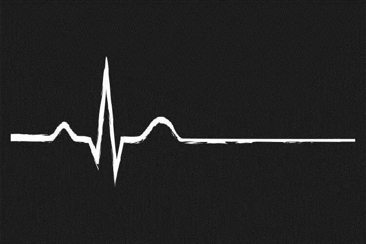 بدن انسان چگونه پس از مرگ فرو می‌پاشد؟ گزارش تصویری از یک فرآیند ترسناک + ویدئو