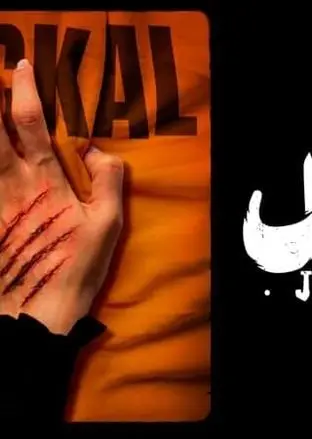  ایلیا کیوان: ضبط برخی سکانس‌های سریال شغال حالم را بد می‌کرد 