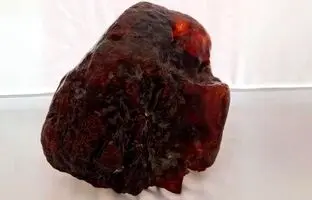 (تصویر) سنگی که زیردست و پا بود ۱.۱ میلیون دلار قیمت‌گذاری شد
