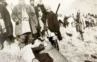 
روزگاری که تهران پلنگ داشت؛ پلنگ‌های تهران کجا رفتند؟
