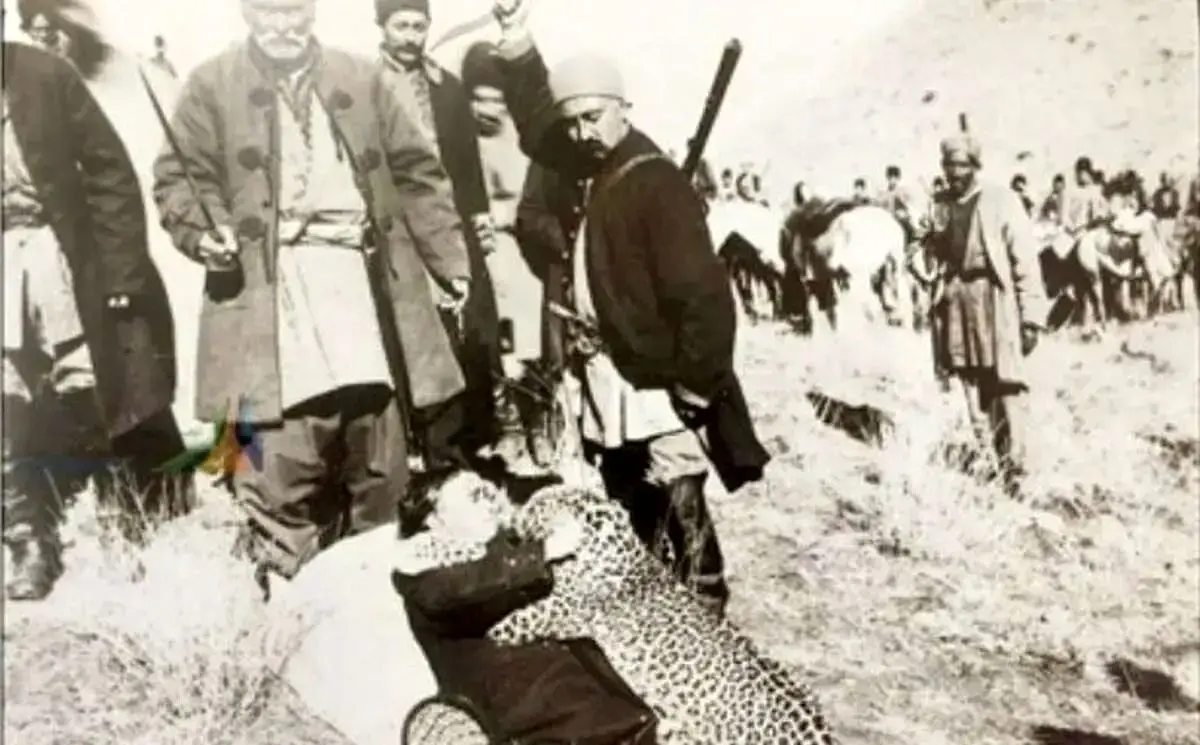 
روزگاری که تهران پلنگ داشت؛ پلنگ‌های تهران کجا رفتند؟
