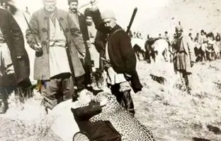 
روزگاری که تهران پلنگ داشت؛ پلنگ‌های تهران کجا رفتند؟
