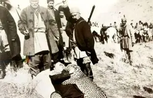 
روزگاری که تهران پلنگ داشت؛ پلنگ‌های تهران کجا رفتند؟
