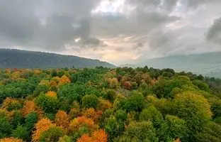 پاییز زودرس در بهشت مازندران؛ جاهای دیدنی که شهریور ماه رنگ عوض می‌کنند