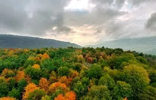 پاییز زودرس در بهشت مازندران؛ جاهای دیدنی که شهریور ماه رنگ عوض می‌کنند