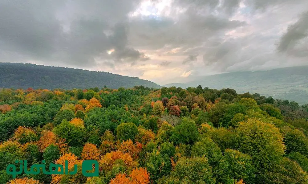 پاییز زودرس در بهشت مازندران؛ جاهای دیدنی که شهریور ماه رنگ عوض می‌کنند