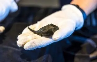  «کیف پول» 1800 سالۀ سرباز رومی از زیر خاک بیرون آمد 