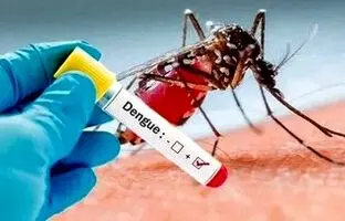 هشدار؛ احتمال همه‌گیری تب دنگی تا ۵ سال آینده