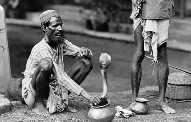 از نشستن روی میخ تا راه رفتن روی آتش؛ چرا هندوها کارهای عجیب می‌کنند؟