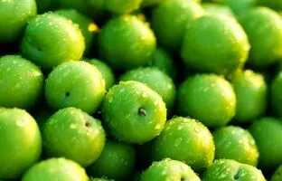 خواص گوجه سبز؛ از پاکسازی کبد تا تقویت سلامت قلب