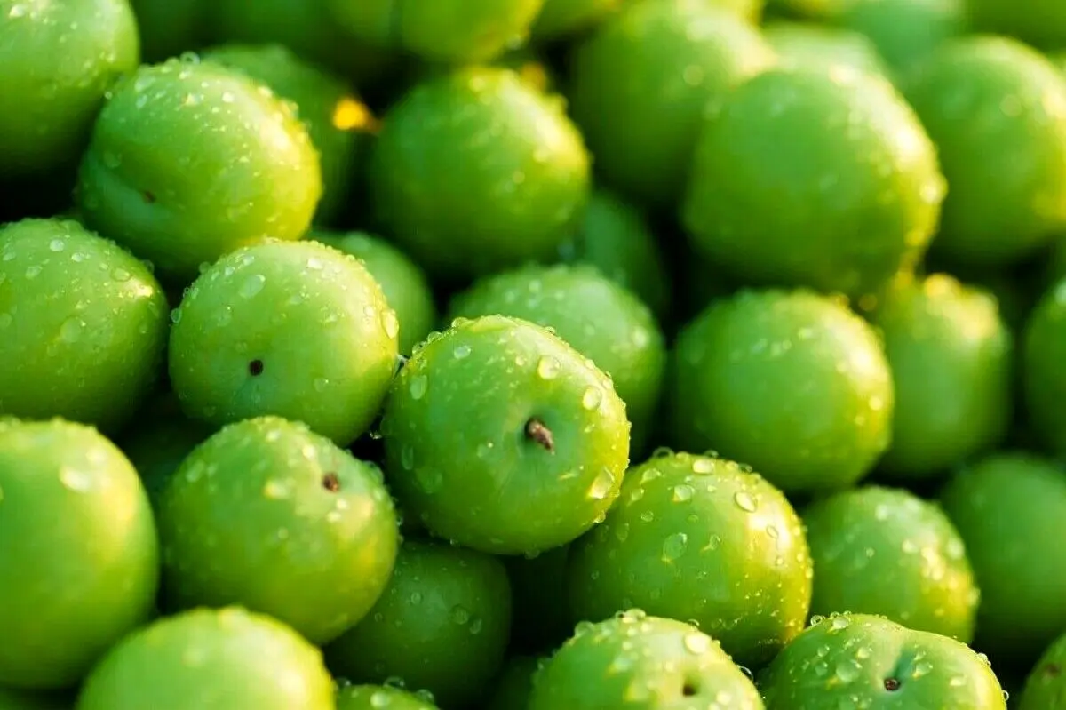 خواص گوجه سبز؛ از پاکسازی کبد تا تقویت سلامت قلب