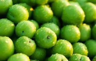 خواص گوجه سبز؛ از پاکسازی کبد تا تقویت سلامت قلب