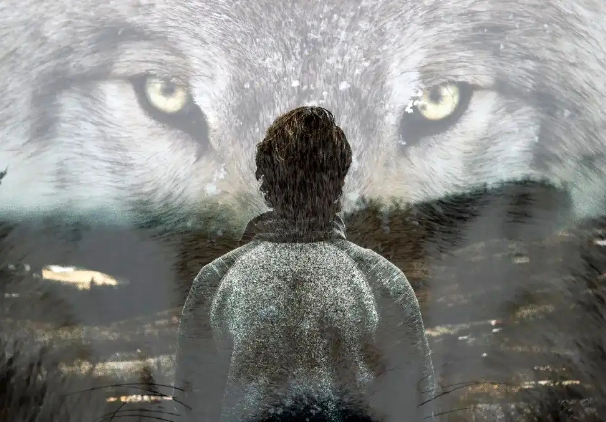 این 10 نشانه می‌ گوید که شما «درون‌ گرا» نیستید، «گرگ تنها» هستید