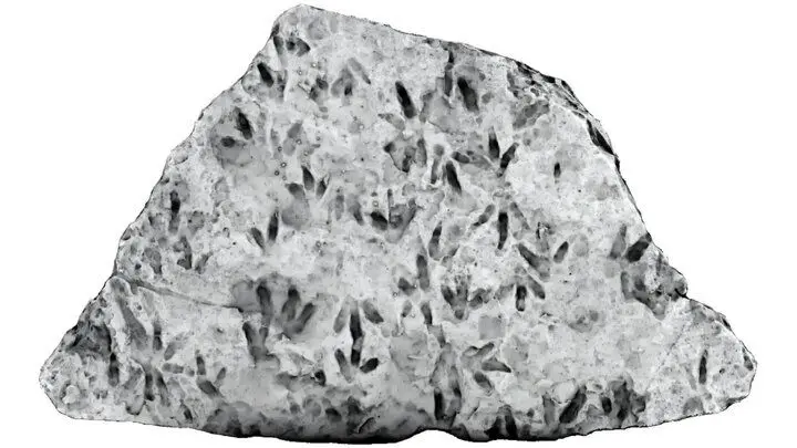 تخته‌سنگ دکوری در مدرسه،‌ گنجی قیمتی از آب درآمد