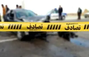 با دیدن این تصاویر از عمق فاجعه ندانستن نقاط کور کامیون ها وحشت می کنید + ویدئو
