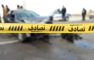 با دیدن این تصاویر از عمق فاجعه ندانستن نقاط کور کامیون ها وحشت می کنید + ویدئو
