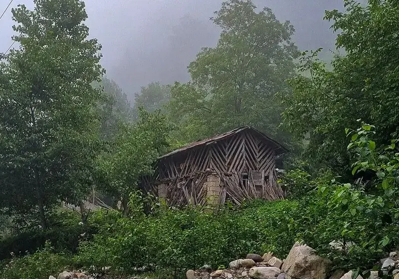 راهنمای سفر: کمپینگ در جنگل دو هزار