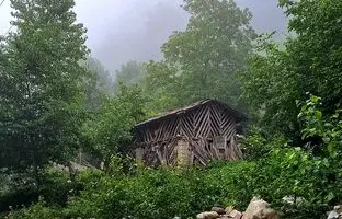 راهنمای سفر: کمپینگ در جنگل دو هزار