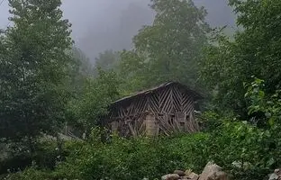 راهنمای سفر: کمپینگ در جنگل دو هزار