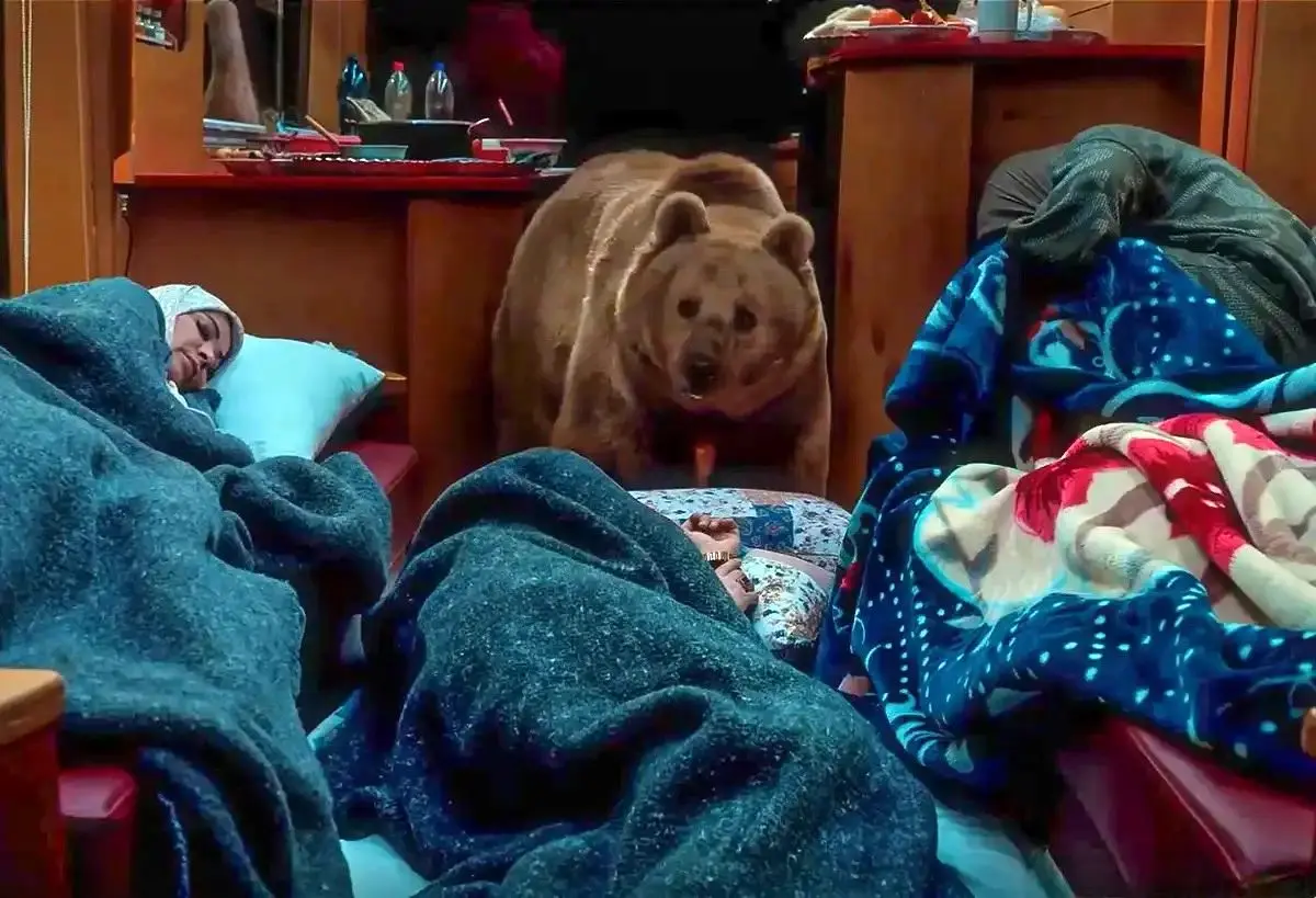 «پایتخت ۷» حیوان‌آزاری کرد؟
