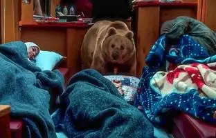 «پایتخت ۷» حیوان‌آزاری کرد؟
