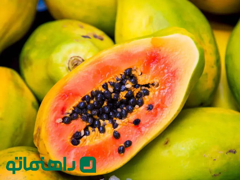 خواص و مضرات میوه پاپایا