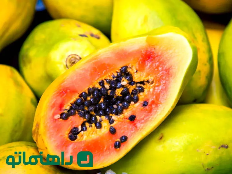 خواص و مضرات میوه پاپایا