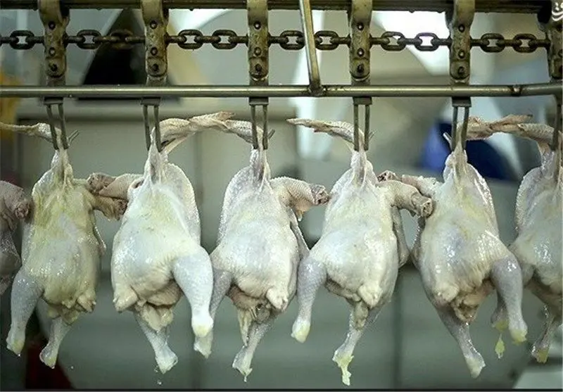 
قیمت گوشت مرغ، امروز پنجشنبه ۱۱ بهمن ۱۴۰۳
