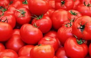 وعده کاهش قیمت گوجه ۷۰هزار تومانی؛ ۳هفته صبر کنید!