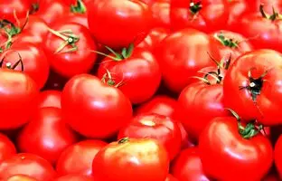 وعده کاهش قیمت گوجه ۷۰هزار تومانی؛ ۳هفته صبر کنید!