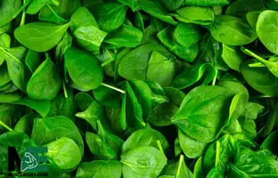 اسفناج واقعا آهن دارد؟ 