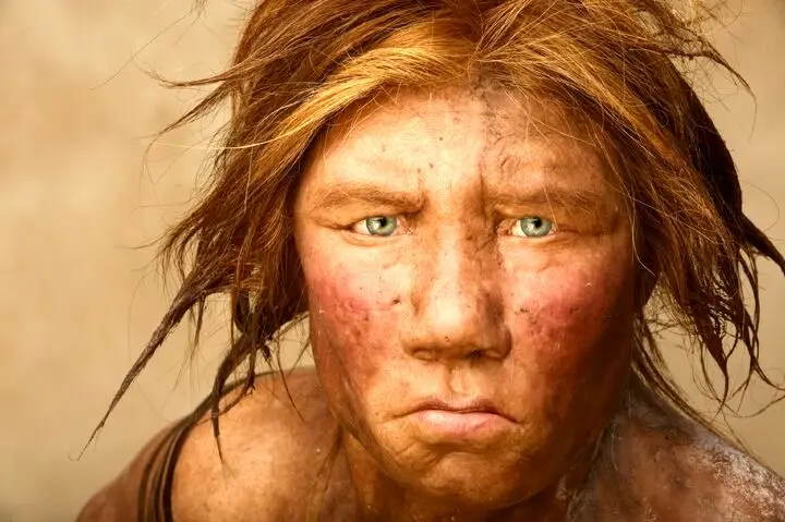 نئاندرتال‌ها در ایران /کشف دندان‌های ۱۸۰ هزار ساله در غار قلعه کرد