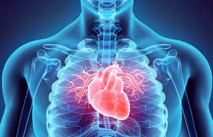 یک تست ساده ۱۰ ثانیه‌ای که می‌تواند نارسایی قلبی را نشان دهد؛ امتحان کنید!