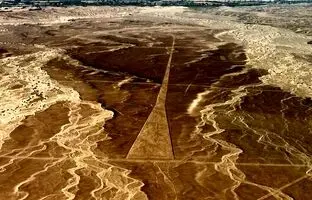 کوسه بزرگ سفید در قلب بیابان / یک شگفتی بزرگ