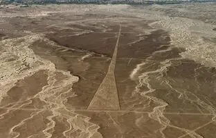 کوسه بزرگ سفید در قلب بیابان / یک شگفتی بزرگ