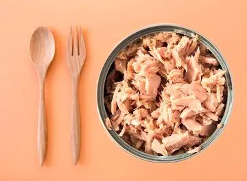 کنسرو ماهی تن مفید است؟/ مزایا و عوارض مصرف کنسرو ماهی تن