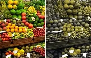 افراد دچار کور‌رنگی دنیای اطراف را چگونه می‌بینند؟ + ویدئو