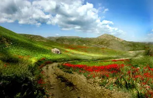 پرشکوفه‌ترین روستاهای اطراف مشهد در روزهای بهاری