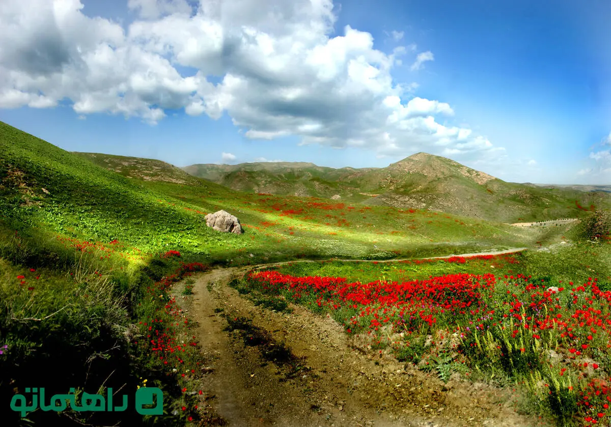 پرشکوفه‌ترین روستاهای اطراف مشهد در روزهای بهاری