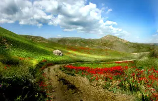 پرشکوفه‌ترین روستاهای اطراف مشهد در روزهای بهاری