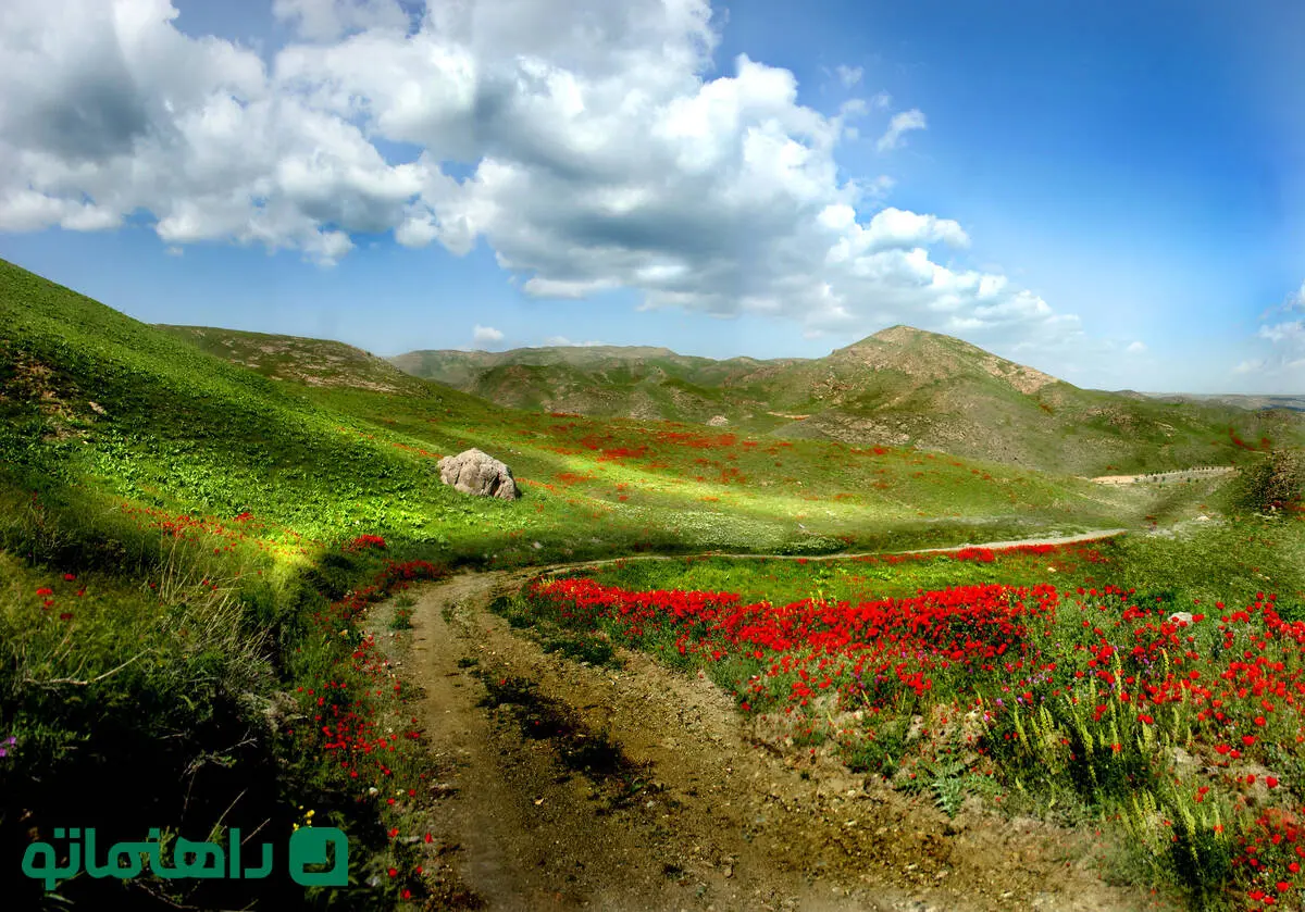 پرشکوفه‌ترین روستاهای اطراف مشهد در روزهای بهاری