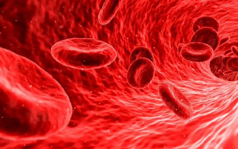 کم خونی ارثی چیست؟ آیا قابل درمان است؟