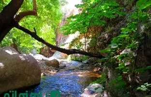 سفر به روستای مال آقا؛ بهشتی سبز و خنک در تابستان جهنمی خوزستان
