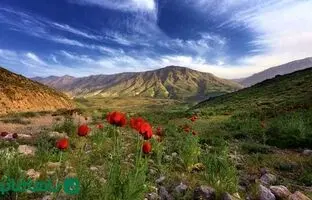 کوهنوردی در دماوند: راهنمای جامع برای مبتدیان با نکات ایمنی و جاذبه‌ها