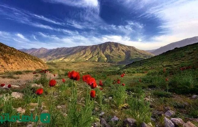 کوهنوردی در دماوند: راهنمای جامع برای مبتدیان با نکات ایمنی و جاذبه‌ها