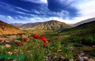کوهنوردی در دماوند: راهنمای جامع برای مبتدیان با نکات ایمنی و جاذبه‌ها