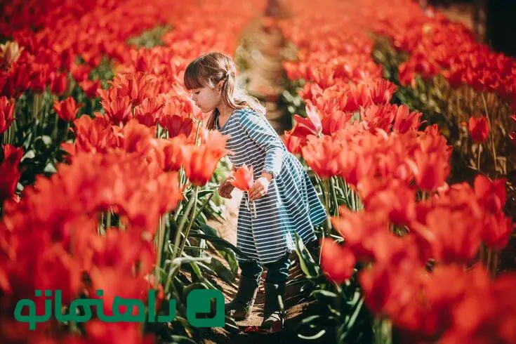ترفند عکاسی با گوشی؛ عکس بهاری از کودکان در باغ لاله به شیوه‌ای متفاوت و ساده