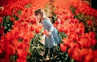 ترفند عکاسی با گوشی؛ عکس بهاری از کودکان در باغ لاله به شیوه‌ای متفاوت و ساده